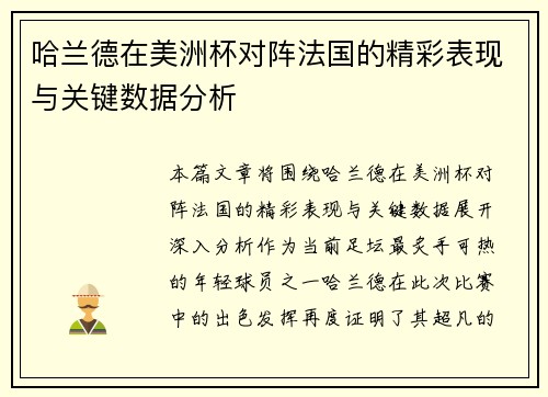 哈兰德在美洲杯对阵法国的精彩表现与关键数据分析
